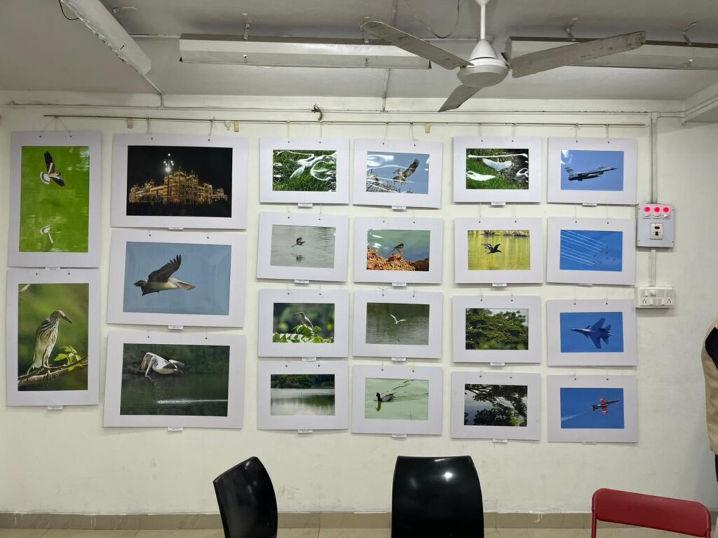 The Dapper Expo | Art Exhibition 2026