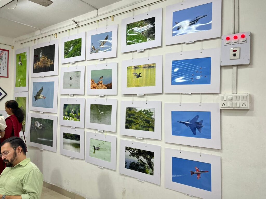 The Dapper Expo | Art Exhibition 2026