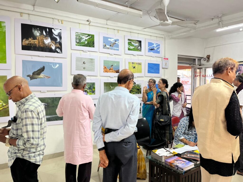 The Dapper Expo | Art Exhibition 2026