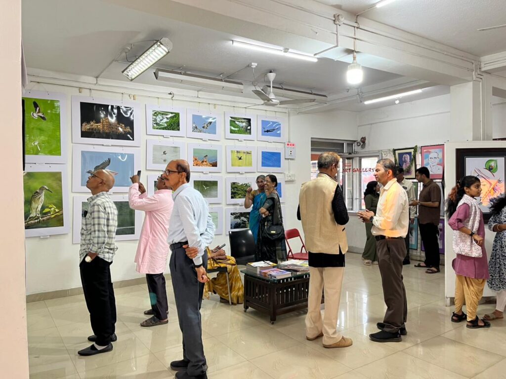 The Dapper Expo | Art Exhibition 2026